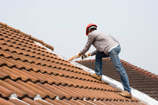 Best Roof Coating and Sealing  in Carroll, IA