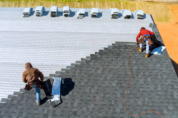 Best Metal Roofing Installation  in Carroll, IA