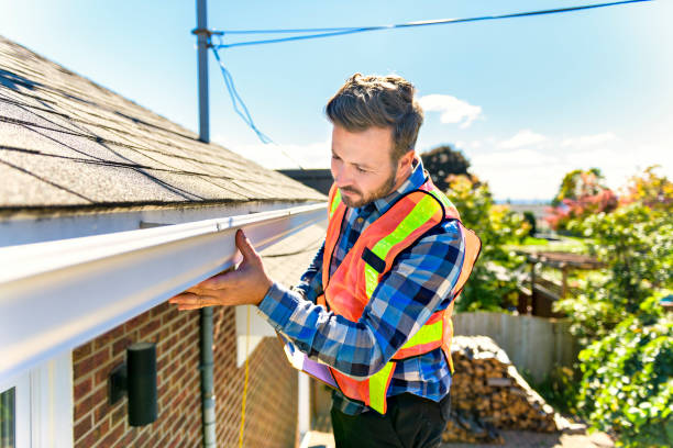 Best Roof Moss and Algae Removal  in Carroll, IA