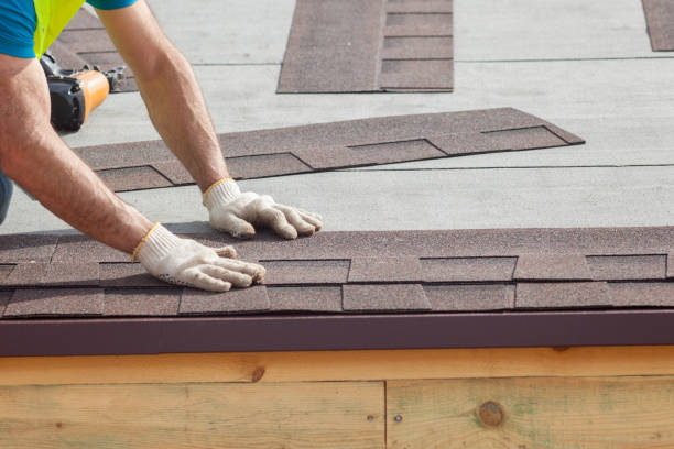 Best Emergency Roof Repair  in Carroll, IA