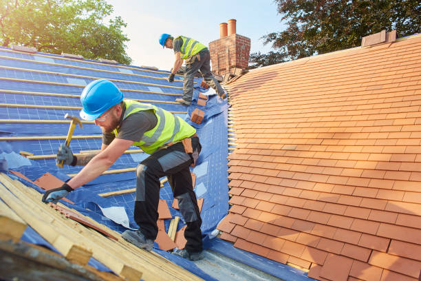 Best Solar Panel Roofing Installation  in Carroll, IA